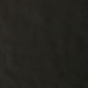 Meet your Posher, Bianca